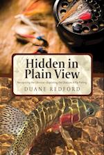 Hidden in Plain View