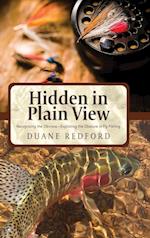 Hidden in Plain View