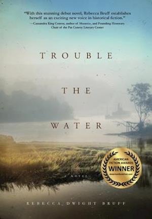 Trouble The Water: A NOVEL