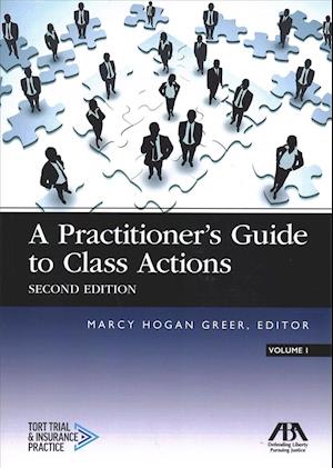 A Practitioner's Guide to Class Actions
