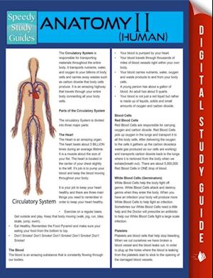 Anatomy II (Human) (Speedy Study Guides)