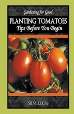 Planting Tomatoes