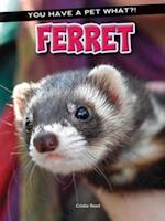 Ferret