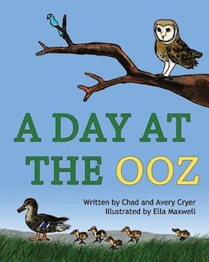 A Day at the OOZ