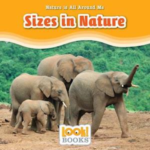 Sizes in Nature