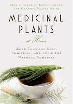 Medicinal Plants at Home