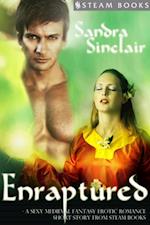Enraptured - A Sexy Medieval Fantasy Erotic Romance Short Story from Steam Books