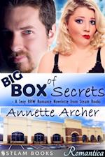 Big Box of Secrets - A Sexy BBW Romance Novelette from Steam Books