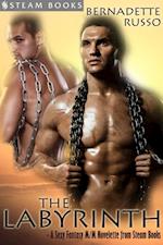 Labyrinth - A Sexy Fantasy M/M Novelette from Steam Books