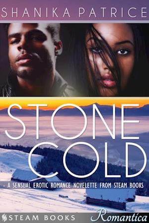 Stone Cold - A Sexy Erotic Romance Novelette from Steam Books