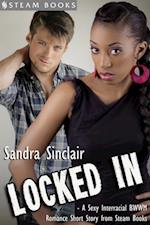 Locked In - A Sexy Interracial BWWM Romance Short Story from Steam Books