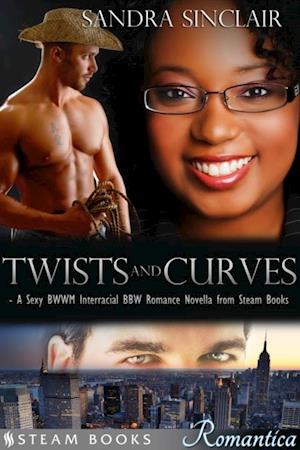 Twists and Curves - A Sexy BWWM Interracial BBW Romance Novella from Steam Books