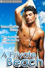 Private Beach - Sexy Gay Interracial M/M White-on-Asian Erotica from Steam Books