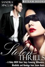 Stolen Thrills - A Kinky BDSM Short Story Featuring Billionaires and Bondage from Steam Books