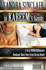 In Kareem's Hands - A Sexy BDSM Billionaire Bondage Short Story from Steam Books