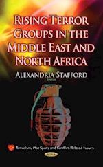 Rising Terror Groups in the Middle East and North Africa