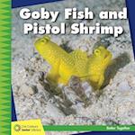 Goby Fish and Pistol Shrimp