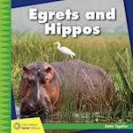 Egrets and Hippos
