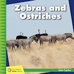 Zebras and Ostriches