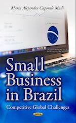 Small Business in Brazil