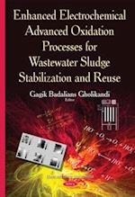 Enhanced Electrochemical Advanced Oxidation Processes for Wastewater Sludge Stabilization and Reuse