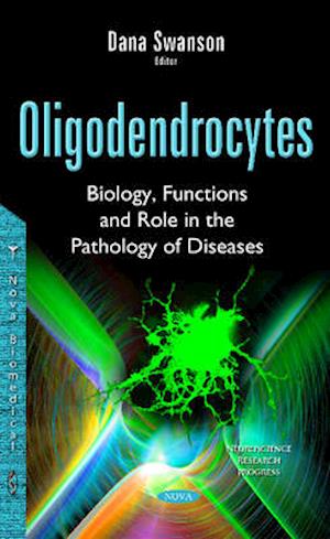 Oligodendrocytes