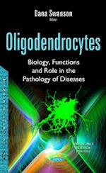 Oligodendrocytes