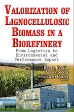 Valorization of Lignocellulosic Biomass in a Biorefinery