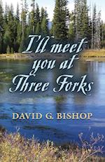 I'll Meet You at Three Forks
