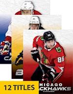 NHL Teams (Set of 12)