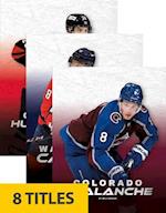 NHL Teams Set 2 (Set of 8)