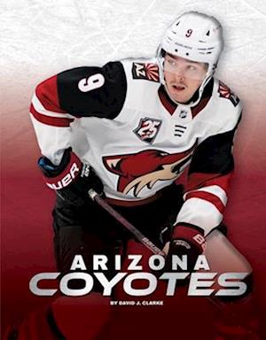 Arizona Coyotes