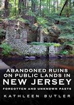Abandoned Ruins on Public Lands in New Jersey