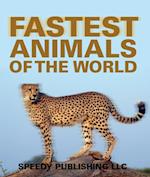 Fastest Animals Of The World