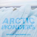 Arctic Wonders