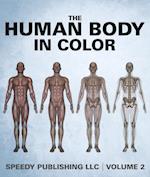 Human Body In Color Volume 2
