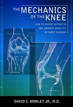 Mechanics of the Knee