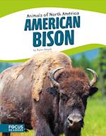 Animals of North America: American Bison