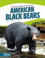 Animals of North America: American Black Bears