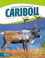 Animals of North America: Caribou