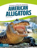 Animals of North America: American Alligators