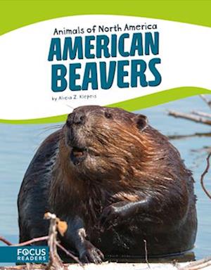 Animals of North America: American Beavers