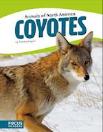Animals of North America: Coyotes