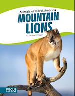 Animals of North America: Mountain Lions