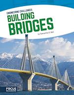 Building Bridges