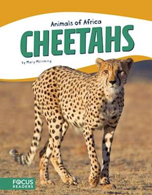 Animals of Africa: Cheetahs