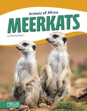 Animals of Africa: Meerkats