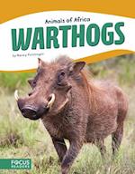 Animals of Africa: Warthogs