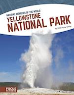 Natural Wonders: Yellowstone National Park