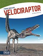 Finding Dinosaurs: Velociraptor